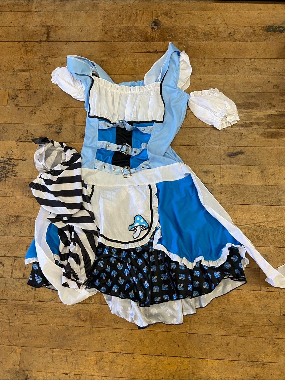 Magic Mushroom Alice - Medium / Large Teen Costume